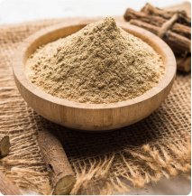 Bibhitaki (Terminalia Bellirica)