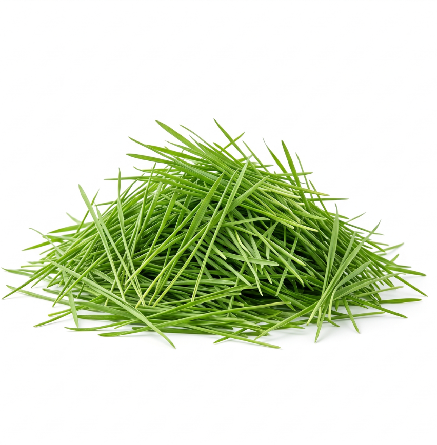 Wheatgrass